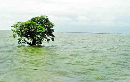 হাওড়
